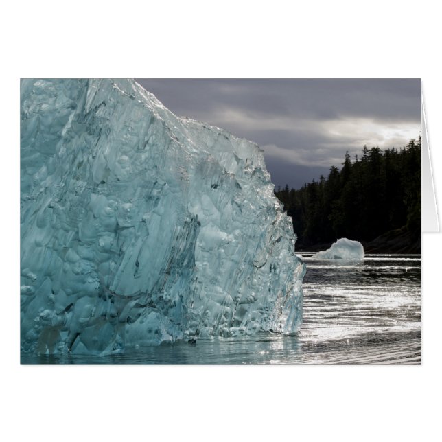 VS, Alaska, Tongass National Forest, Tracy 2 (Voorkant Horizontaal)