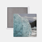 VS, Alaska, Tongass National Forest, Tracy 2 Magneet (Voorkant / Achterkant)