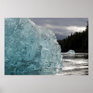 VS, Alaska, Tongass National Forest, Tracy 2 Poster