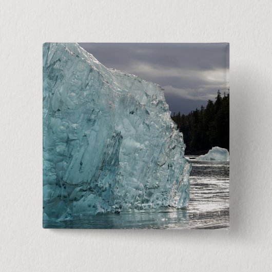 VS, Alaska, Tongass National Forest, Tracy 2 Vierkante Button 5,1 Cm (Voorkant)