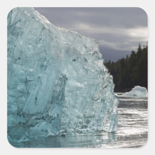 VS, Alaska, Tongass National Forest, Tracy 2 Vierkante Sticker