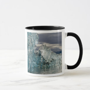 VS, Alaska, Tongass National Forest, Tracy 3 Mok