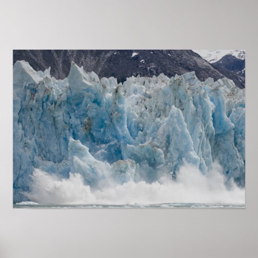 VS, Alaska, Tongass National Forest, Tracy Poster (Voorkant)