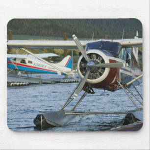 VS, ALASKA, Zuidoost-Alaska, KETCHIKAN: Muismat