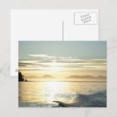 VS, Alaska, Zuidoost bij Ketchikan, zonsondergang. Briefkaart (Voorkant / Achterkant)