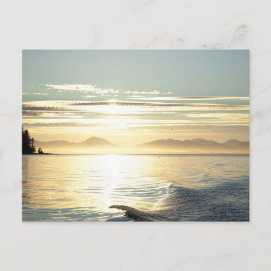 VS, Alaska, Zuidoost bij Ketchikan, zonsondergang. Briefkaart (Voorkant)