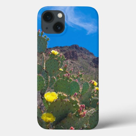 VS, Arizona. Cactus in de heuvels Case-Mate iPhone Case (Achterkant)