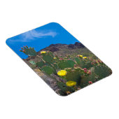 VS, Arizona. Cactus in de heuvels Magneet (Rechterzijde)