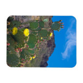 VS, Arizona. Cactus in de heuvels Magneet (Horizontaal)