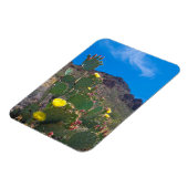 VS, Arizona. Cactus in de heuvels Magneet (Linkerzijde)