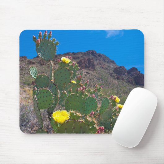 VS, Arizona. Cactus in de heuvels Muismat (Met muis)