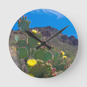 VS, Arizona. Cactus in de heuvels Ronde Klok