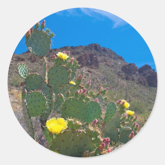 VS, Arizona. Cactus in de heuvels Ronde Sticker (Voorkant)
