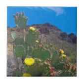 VS, Arizona. Cactus in de heuvels Tegeltje (Voorkant)