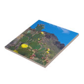 VS, Arizona. Cactus in de heuvels Tegeltje (Zijkant)