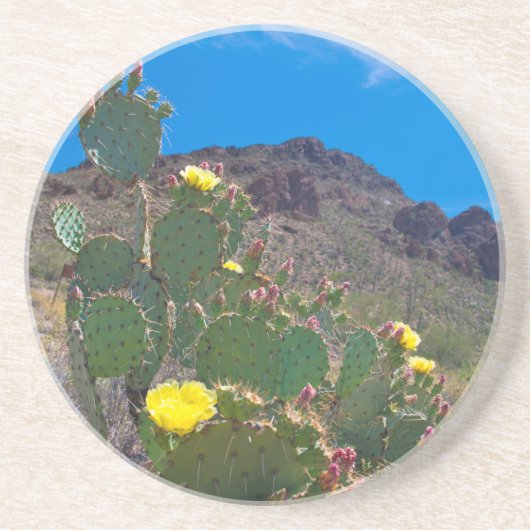 VS, Arizona. Cactus in de heuvels Zandsteen Onderzetter (Voorkant)