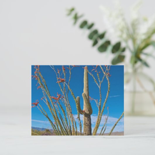 VS, Arizona. Cactus in het nationaal park Saguaro Briefkaart (Staand voorkant)