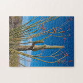 VS, Arizona. Cactus in het nationaal park Saguaro Legpuzzel (Horizontaal)