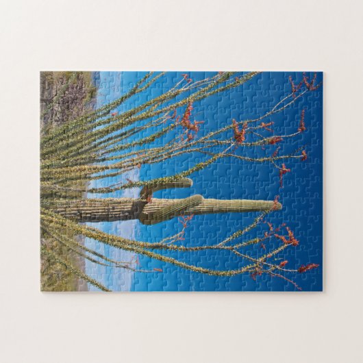 VS, Arizona. Cactus in het nationaal park Saguaro Legpuzzel (Horizontaal)