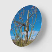 VS, Arizona. Cactus in het nationaal park Saguaro Ronde Klok (Hoek)