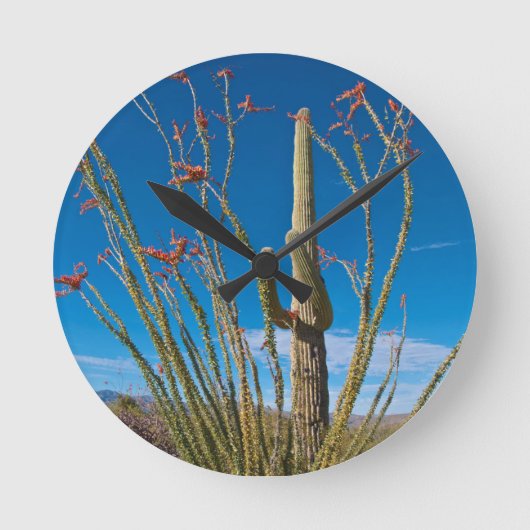 VS, Arizona. Cactus in het nationaal park Saguaro Ronde Klok (Voorkant)
