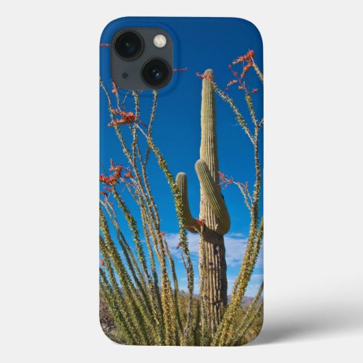 VS, Arizona. Cactus in Saguaro National Park Case-Mate iPhone Case (Achterkant)