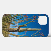 VS, Arizona. Cactus in Saguaro National Park Case-Mate iPhone Case (Achterkant (horizontaal))