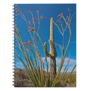 VS, Arizona. Cactus in Saguaro National Park Notitieboek