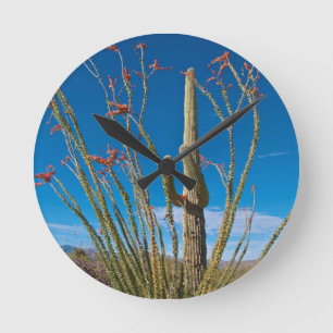 VS, Arizona. Cactus in Saguaro National Park Ronde Klok