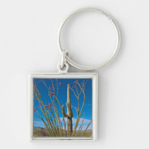 VS, Arizona. Cactus in Saguaro National Park Sleutelhanger