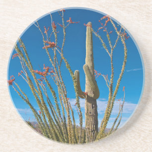 VS, Arizona. Cactus in Saguaro National Park Zandsteen Onderzetter