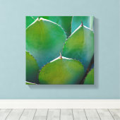 VS, Arizona. Close-up van succulente plant Canvas Afdruk (Insitu (Houten vloer))