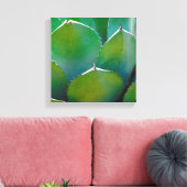 VS, Arizona. Close-up van succulente plant Canvas Afdruk (Insitu (Woonkamer))