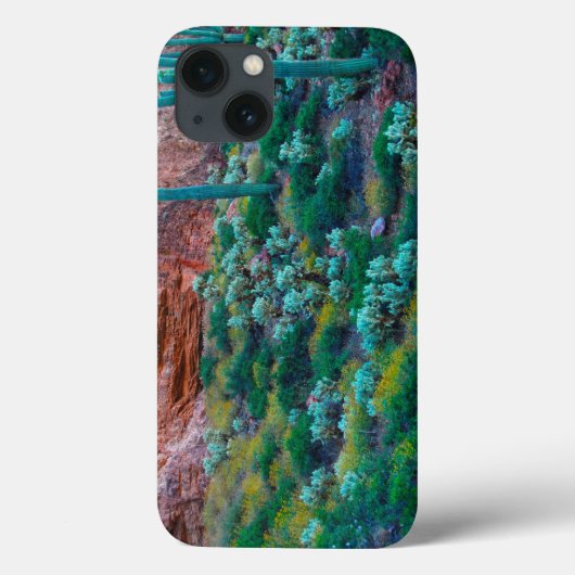 VS, Arizona. Desert Flora Case-Mate iPhone Case (Achterkant)