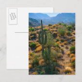 VS, Arizona. Desert View Briefkaart (Voorkant / Achterkant)