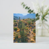 VS, Arizona. Desert View Briefkaart (Staand voorkant)