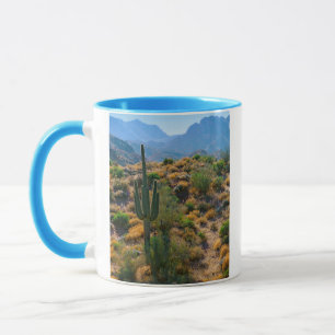 VS, Arizona. Desert View Mok