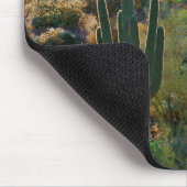VS, Arizona. Desert View Muismat (Hoek)