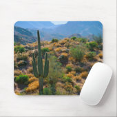 VS, Arizona. Desert View Muismat (Met muis)