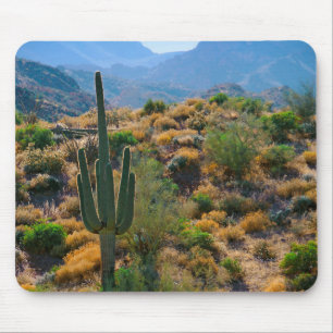 VS, Arizona. Desert View Muismat