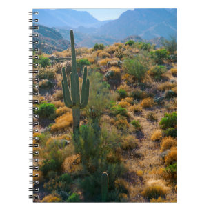 VS, Arizona. Desert View Notitieboek