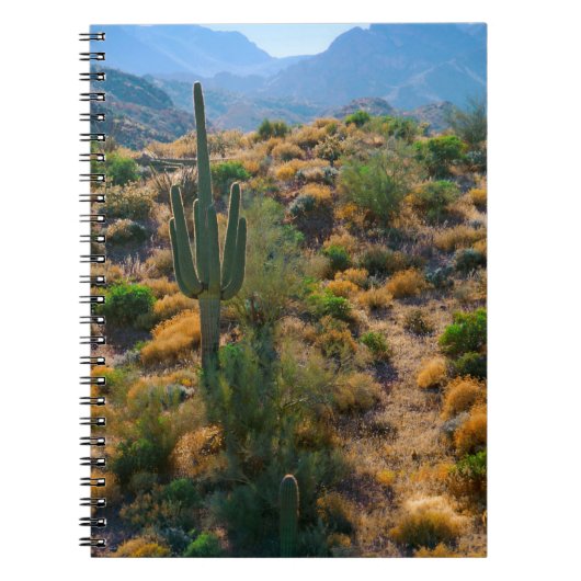 VS, Arizona. Desert View Notitieboek (Voorkant)