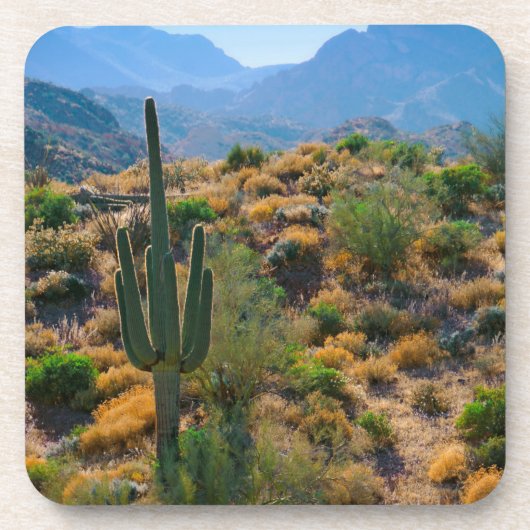 VS, Arizona. Desert View Onderzetter (Voorkant)