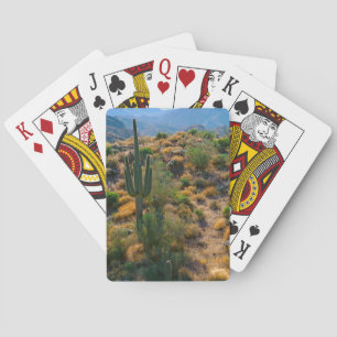 VS, Arizona. Desert View Pokerkaarten