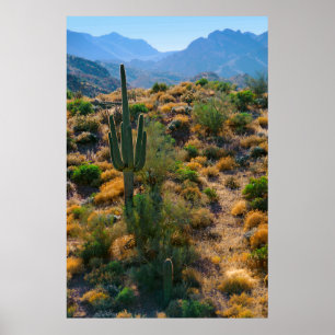 VS, Arizona. Desert View Poster