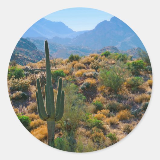 VS, Arizona. Desert View Ronde Sticker (Voorkant)