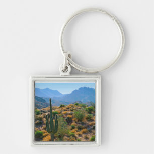 VS, Arizona. Desert View Sleutelhanger
