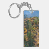 VS, Arizona. Desert View Sleutelhanger (Voorkant Links)