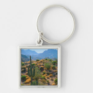 VS, Arizona. Desert View Sleutelhanger