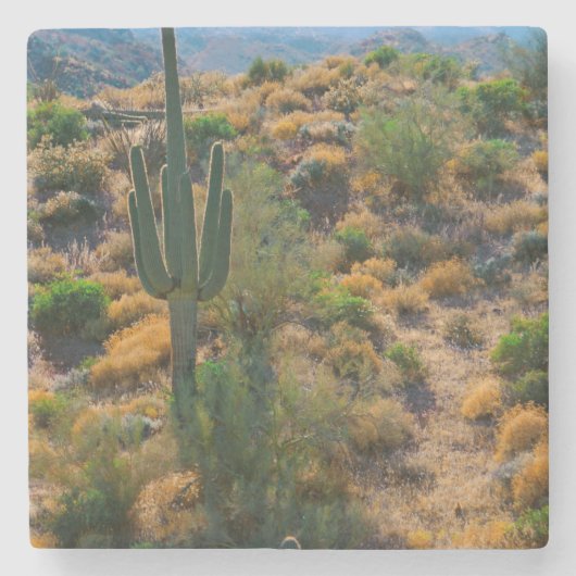 VS, Arizona. Desert View Stenen Onderzetter (Voorkant)